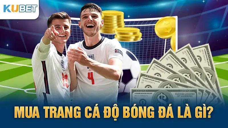 Top 10 trang cá độ bóng đá uy tín, nạp rút xanh chín